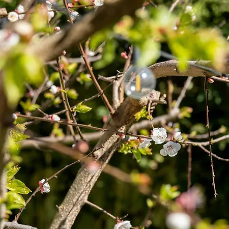 Nonna Pia's House Διαμέρισμα Σορέντο