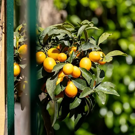 Appartamento Nonna Pia's House