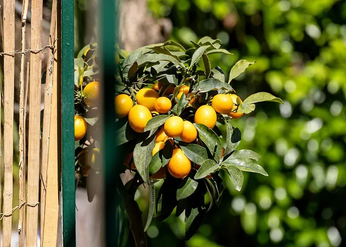 Apartment Nonna Pia's House