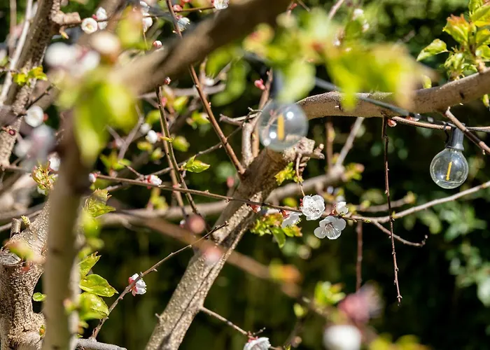 Nonna Pia's House Apartment Sorrent