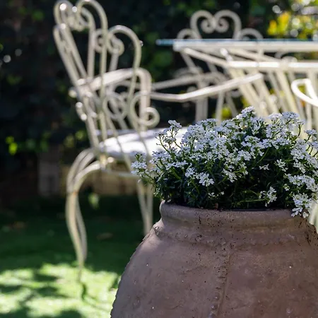 Nonna Pia's House Appartement Sorrento