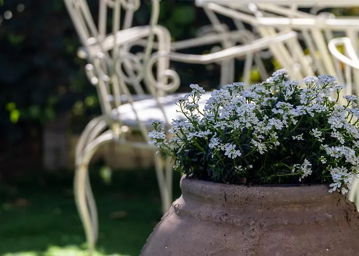 Nonna Pia's House Apartmán Sorrento