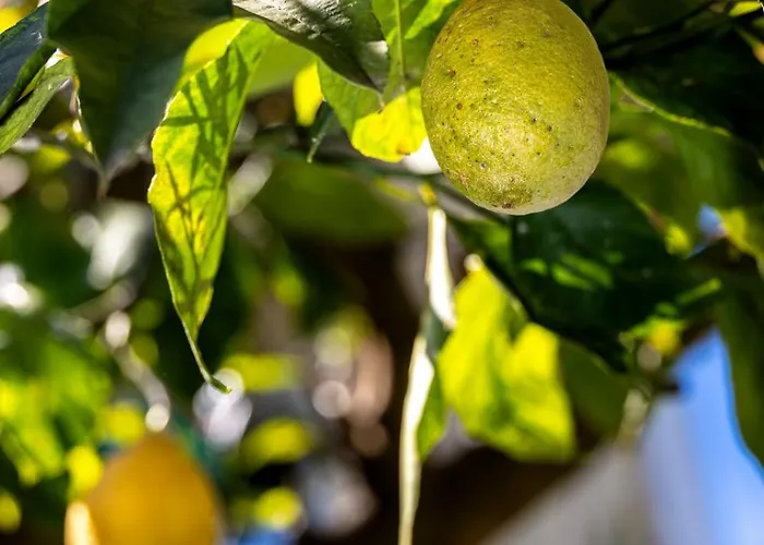 Apartmán Nonna Pia's House Sorrento